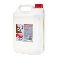CIF Professional кислотное концентрированное моющее средство против ржавчины и налета, Unilever (5 л.)